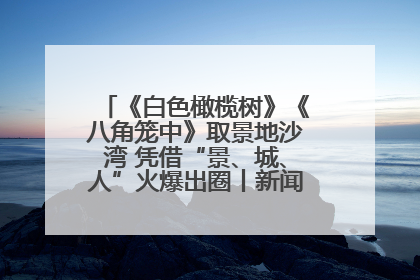 《白色橄榄树》《八角笼中》取景地沙湾 凭借“景、城、人”火爆出圈丨新闻发布最前线