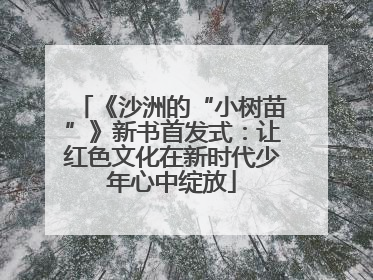 《沙洲的“小树苗”》新书首发式：让红色文化在新时代少年心中绽放