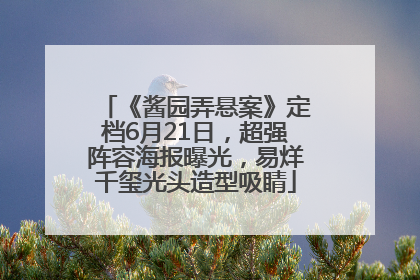 《酱园弄悬案》定档6月21日，超强阵容海报曝光，易烊千玺光头造型吸睛