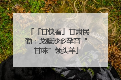 「甘快看」甘肃民勤：戈壁沙乡孕育“甘味”领头羊