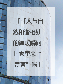 「人与自然和谐相处的温暖瞬间」家里来“贵客”啦