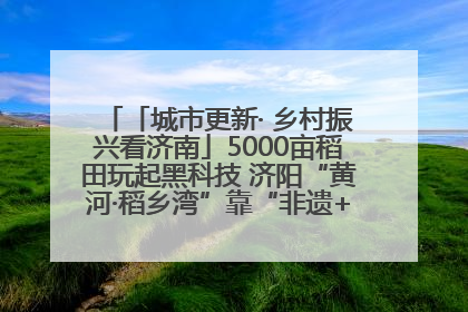 「城市更新· 乡村振兴看济南」5000亩稻田玩起黑科技 济阳“黄河·稻乡湾”靠“非遗+露营”火出圈
