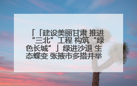 「建设美丽甘肃 推进“三北”工程 构筑“绿色长城”」绿进沙退 生态蝶变 张掖市多措并举加大防沙治沙力度