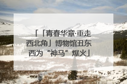 「青春华章·重走西北角」博物馆丑东西为“神马”爆火