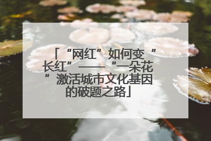“网红”如何变“长红”——“一朵花”激活城市文化基因的破题之路