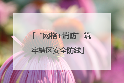 “网格+消防”筑牢辖区安全防线