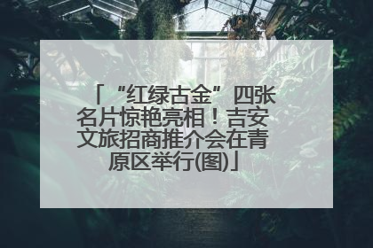 “红绿古金”四张名片惊艳亮相！吉安文旅招商推介会在青原区举行(图)