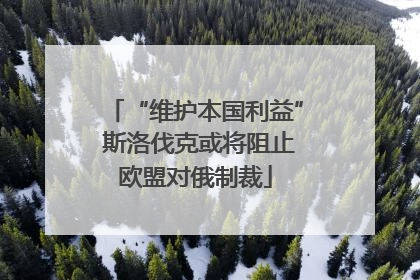 “维护本国利益” 斯洛伐克或将阻止欧盟对俄制裁