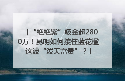 “绝绝紫”吸金超2800万！昆明如何接住蓝花楹这波“泼天富贵”？