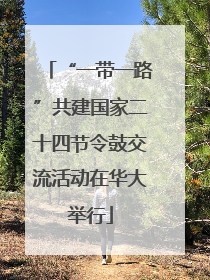 “一带一路”共建国家二十四节令鼓交流活动在华大举行