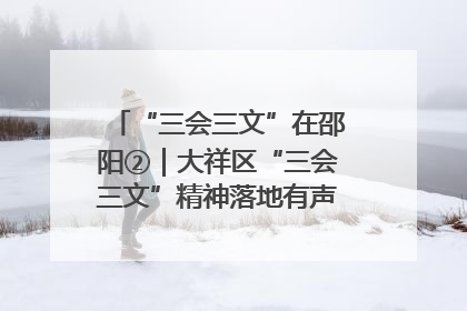 “三会三文”在邵阳②｜大祥区“三会三文”精神落地有声 以实干实绩助力区域高质量发展