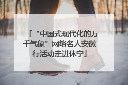 “中国式现代化的万千气象”网络名人安徽行活动走进休宁
