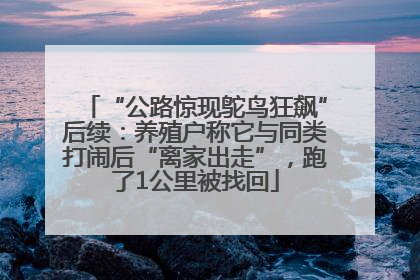 “公路惊现鸵鸟狂飙”后续：养殖户称它与同类打闹后“离家出走”，跑了1公里被找回