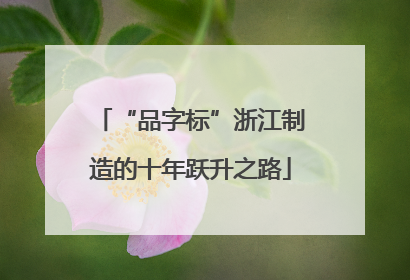 “品字标”浙江制造的十年跃升之路