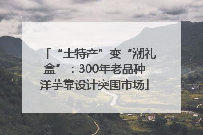 “土特产”变“潮礼盒”：300年老品种洋芋靠设计突围市场