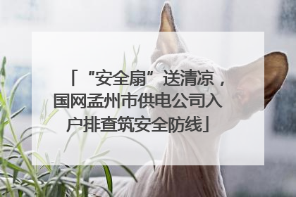 “安全扇”送清凉，国网孟州市供电公司入户排查筑安全防线