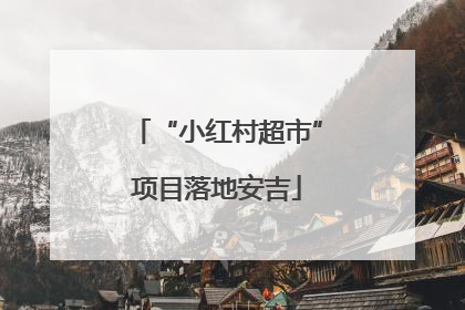 “小红村超市”项目落地安吉