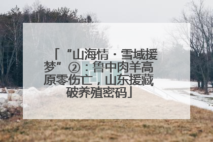 “山海情・雪域援梦”②：鲁中肉羊高原零伤亡，山东援藏破养殖密码
