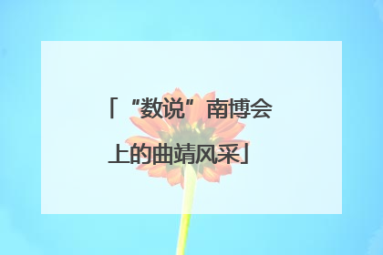 “数说”南博会上的曲靖风采