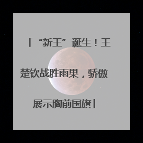 “新王”诞生！王楚钦战胜雨果，骄傲展示胸前国旗