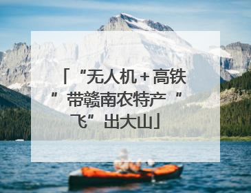 “无人机＋高铁”带赣南农特产“飞”出大山