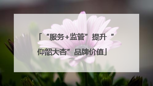 “服务+监管”提升“仰韶大杏”品牌价值