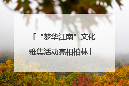 “梦华江南”文化雅集活动亮相柏林