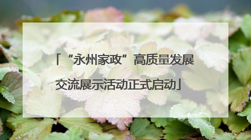 “永州家政”高质量发展交流展示活动正式启动
