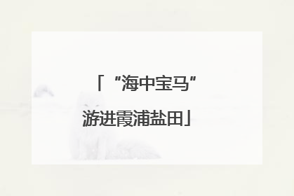 “海中宝马”游进霞浦盐田