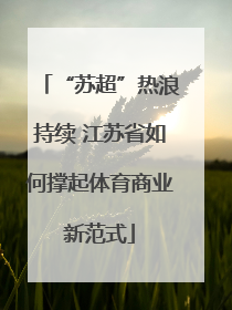 “苏超”热浪持续 江苏省如何撑起体育商业新范式