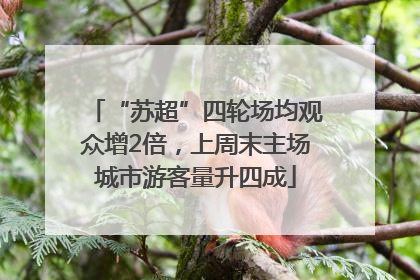 “苏超”四轮场均观众增2倍，上周末主场城市游客量升四成