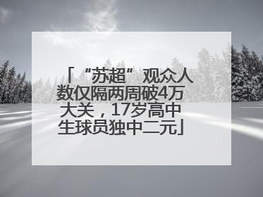 “苏超”观众人数仅隔两周破4万大关，17岁高中生球员独中二元