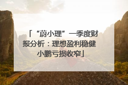 “蔚小理”一季度财报分析：理想盈利稳健 小鹏亏损收窄