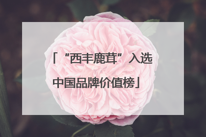 “西丰鹿茸”入选中国品牌价值榜