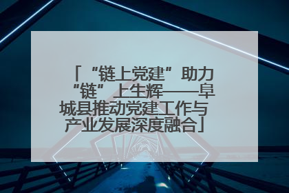 “链上党建”助力“链”上生辉——阜城县推动党建工作与产业发展深度融合
