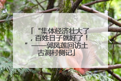 “集体经济壮大了，百姓日子就好了！”——郭凤莲回访土古洞村侧记
