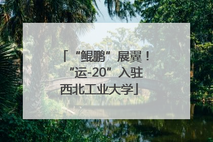 “鲲鹏”展翼！“运-20”入驻西北工业大学