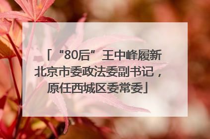 “80后”王中峰履新北京市委政法委副书记，原任西城区委常委