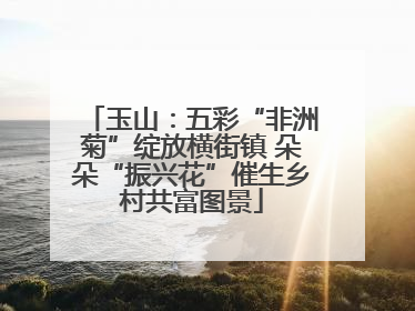 玉山：五彩“非洲菊”绽放横街镇 朵朵“振兴花”催生乡村共富图景