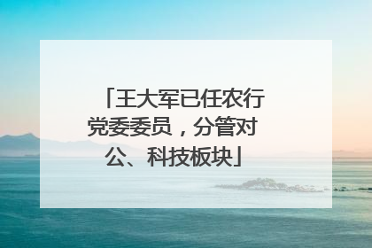 王大军已任农行党委委员，分管对公、科技板块