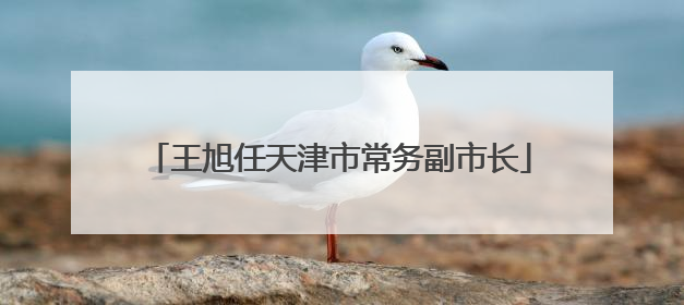 王旭任天津市常务副市长