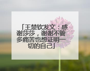 王楚钦发文：感谢莎莎，谢谢不管多痛苦也想证明一切的自己