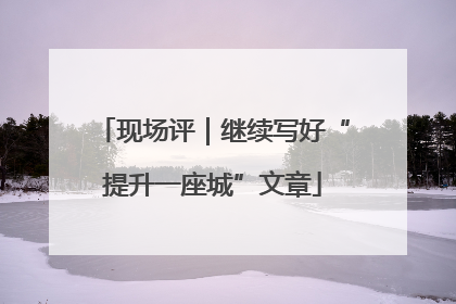 现场评｜继续写好“提升一座城”文章