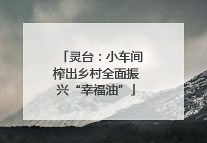 灵台：小车间榨出乡村全面振兴“幸福油”