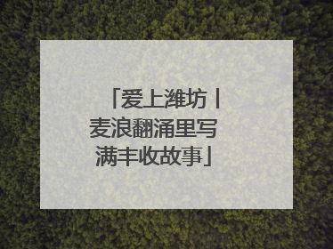 爱上潍坊丨麦浪翻涌里写满丰收故事
