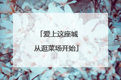 爱上这座城 从逛菜场开始