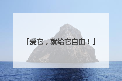 爱它，就给它自由！
