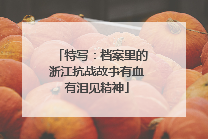 特写：档案里的浙江抗战故事有血有泪见精神