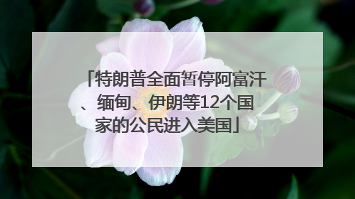 特朗普全面暂停阿富汗、缅甸、伊朗等12个国家的公民进入美国