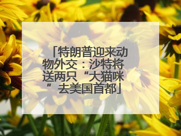 特朗普迎来动物外交：沙特将送两只“大猫咪”去美国首都